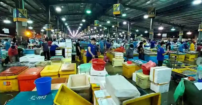Pasar Borong MS 1 pasar borong ms